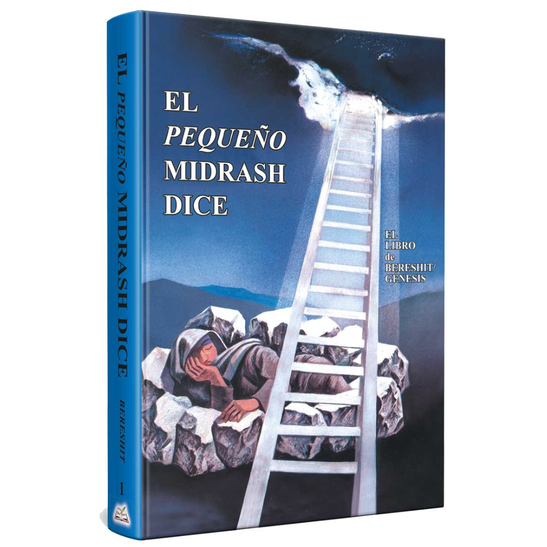 Coleccion - Pequeño midrash dice 13 tomos