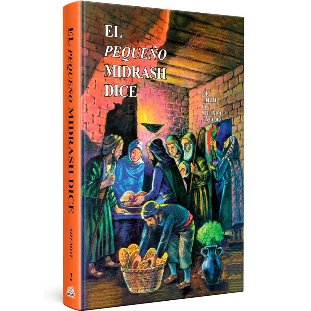 Coleccion - Pequeño midrash dice 13 tomos