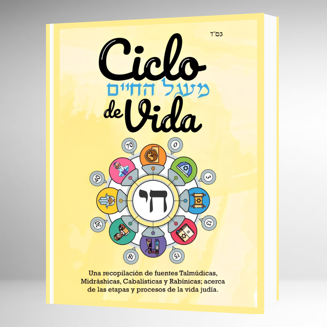Ciclo de vida