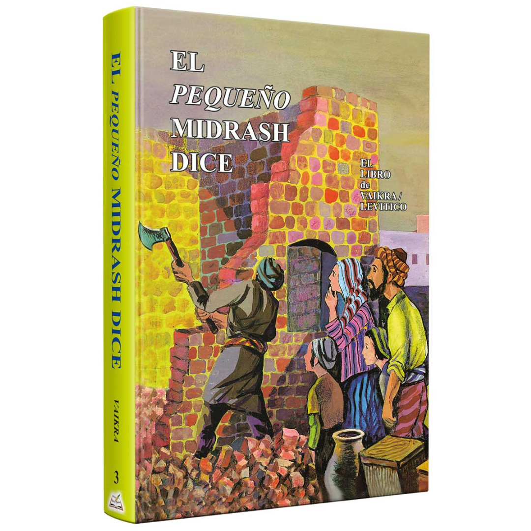 Coleccion - Pequeño midrash dice 13 tomos