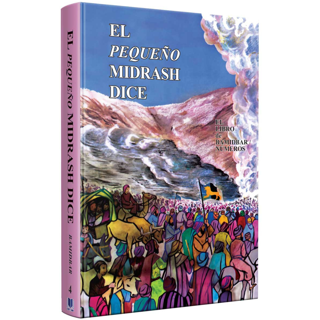 Coleccion - Pequeño midrash dice 13 tomos