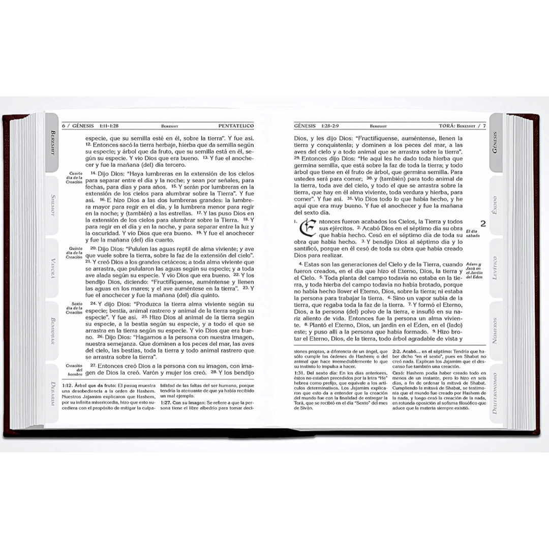 Biblia Tanaj: Traducido y Comentado - TORÁ / NEBIÍM / KETUBIM -
