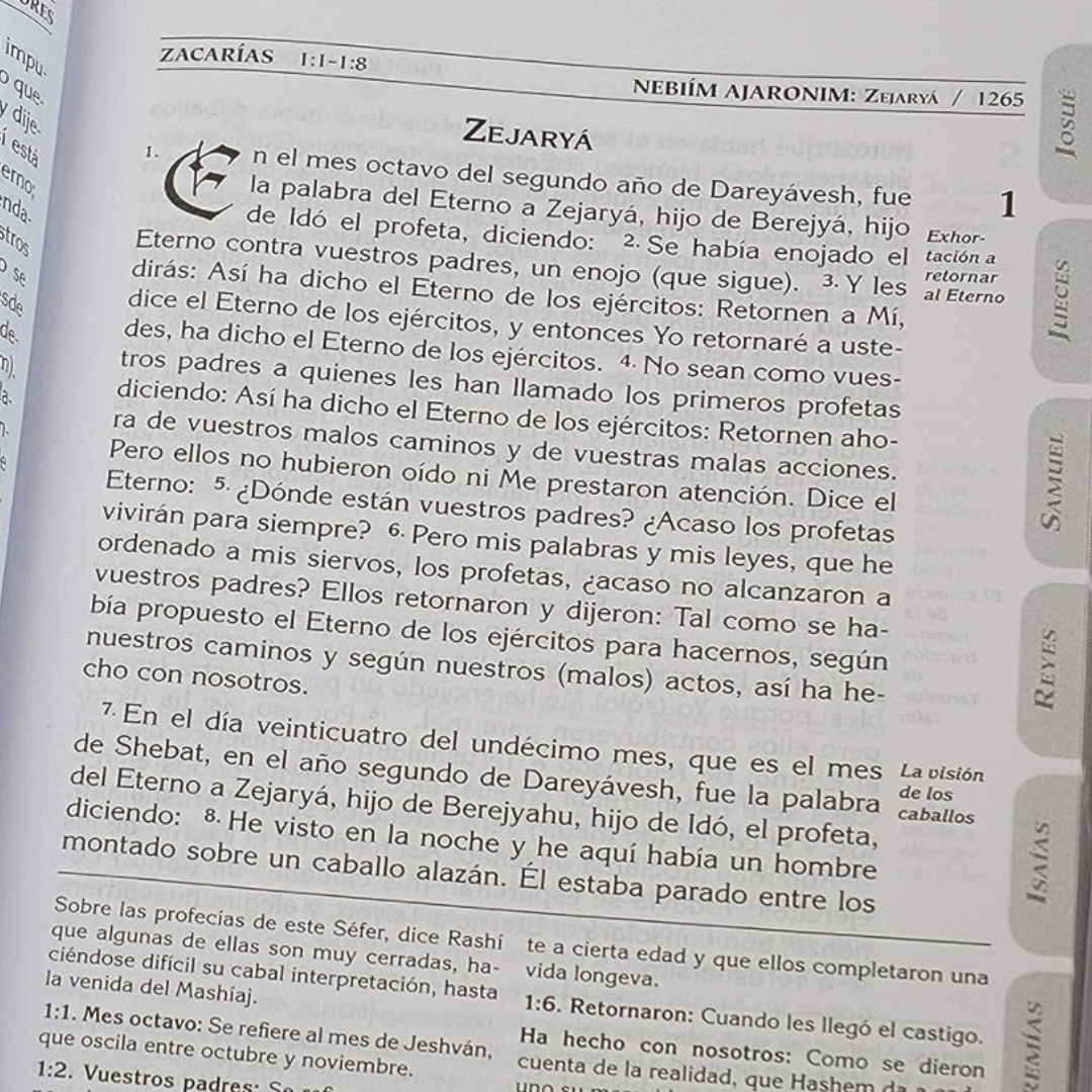 Biblia Tanaj: Traducido y Comentado - TORÁ / NEBIÍM / KETUBIM -