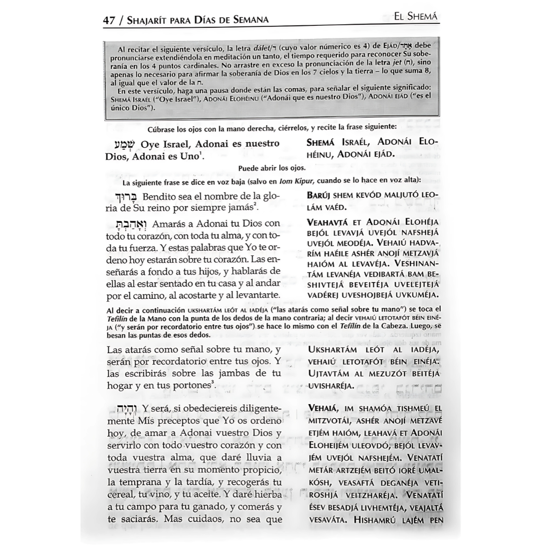 SIDUR TEHILAT HASHEM HEB-ESP-FONET (MEDIANO)