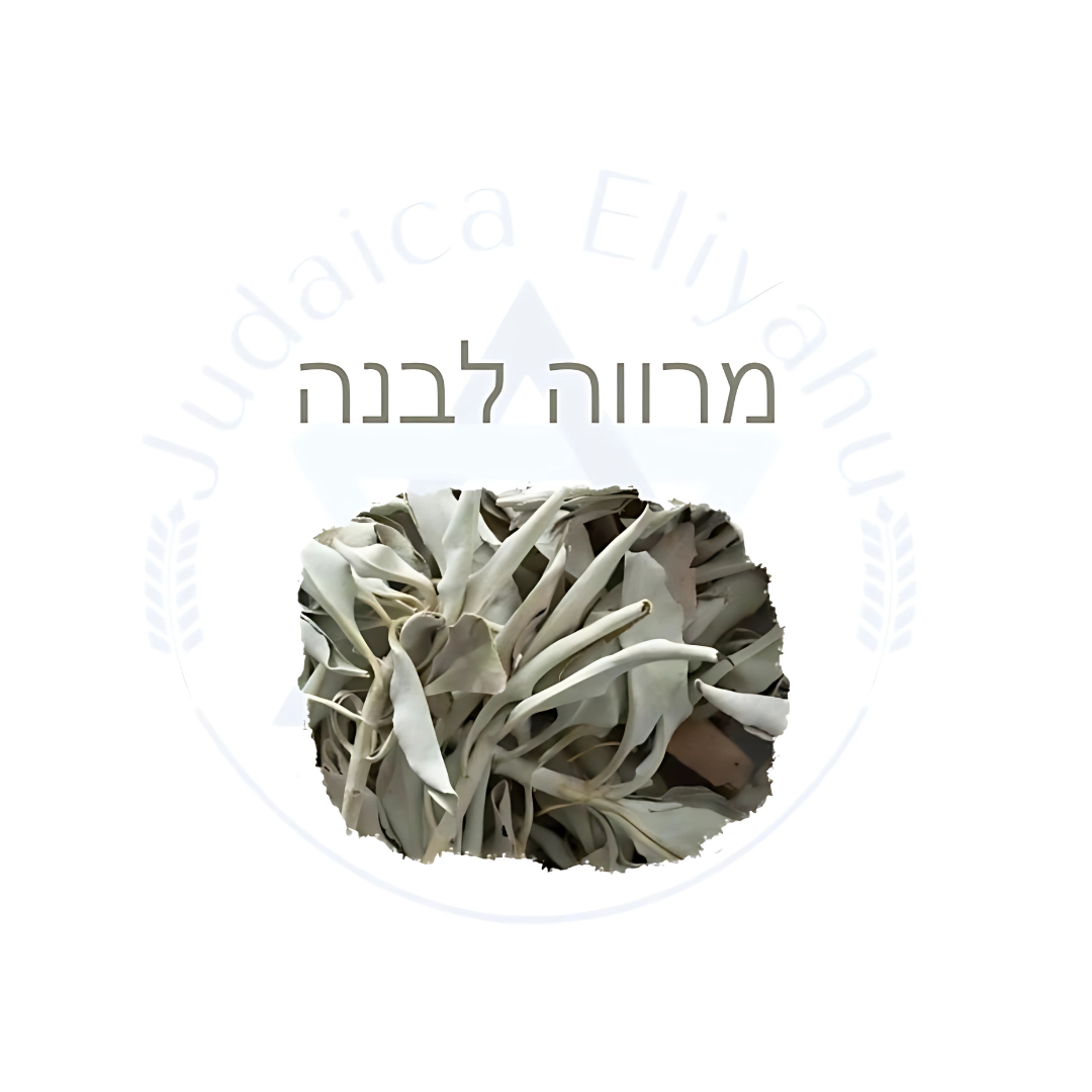 Marva - מרווה לבנה