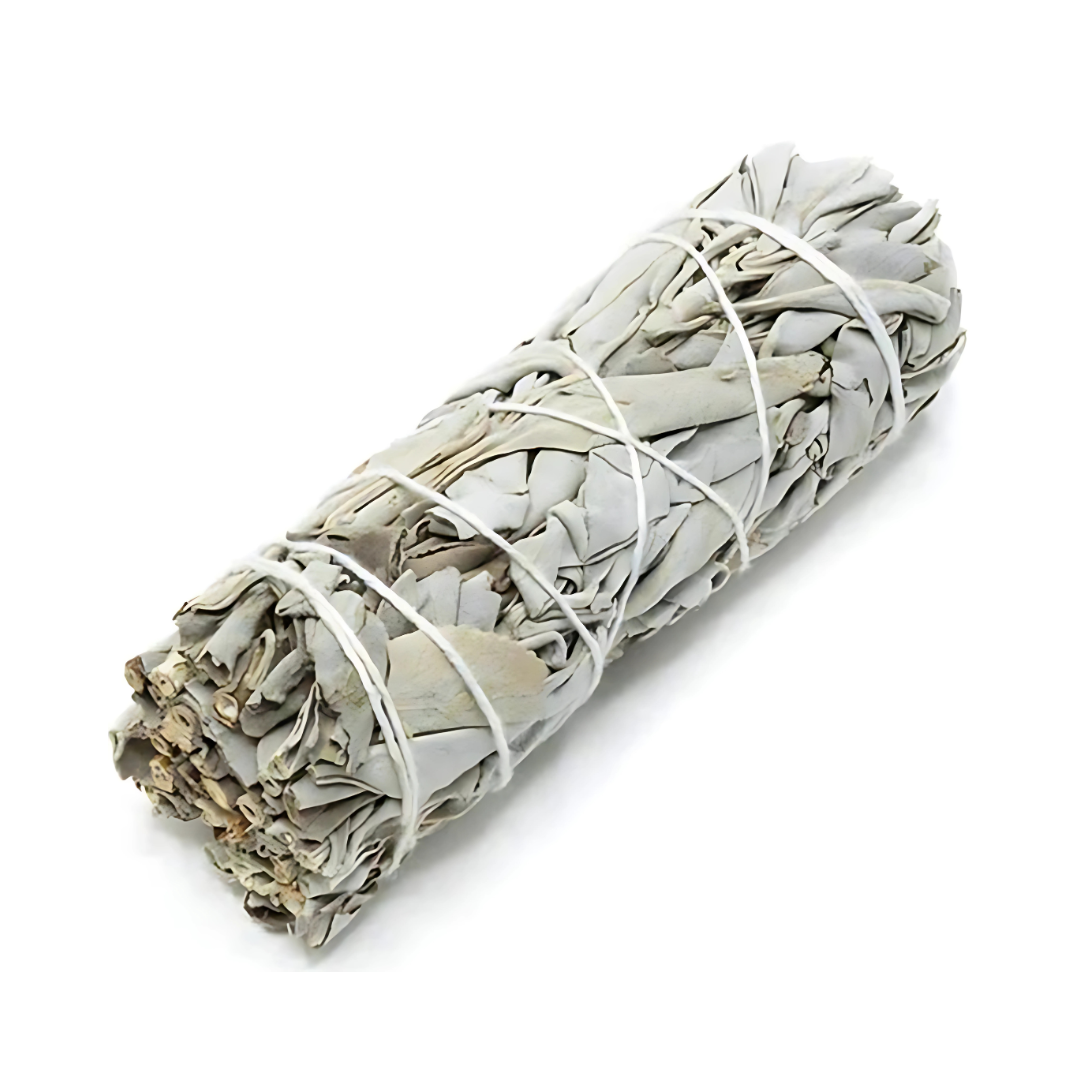 Marva purificacion - מרווה לבנה