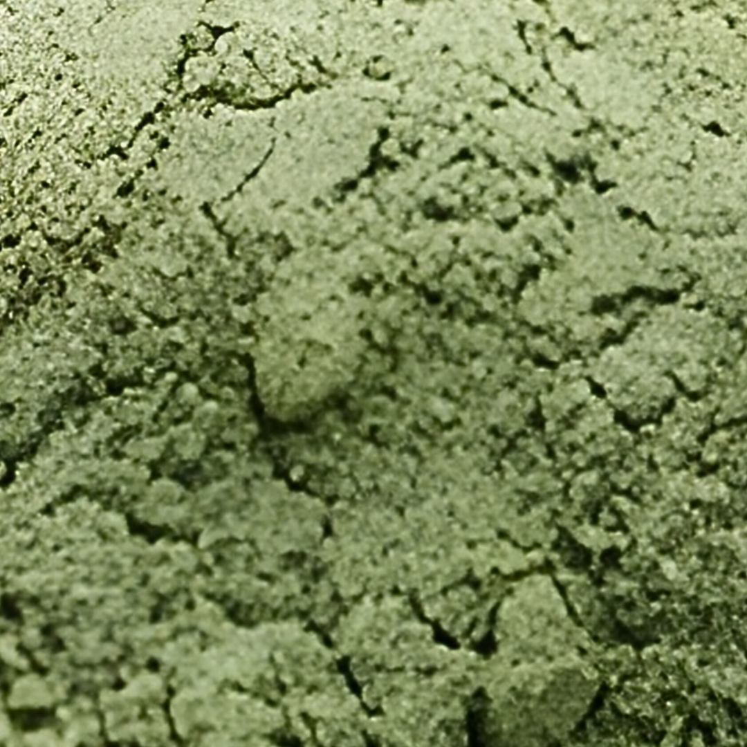 Polvo de Aloe