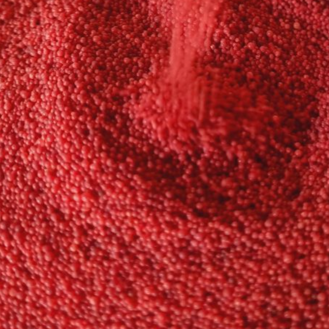 Especie Maskut Roja מסקוטה אדומה