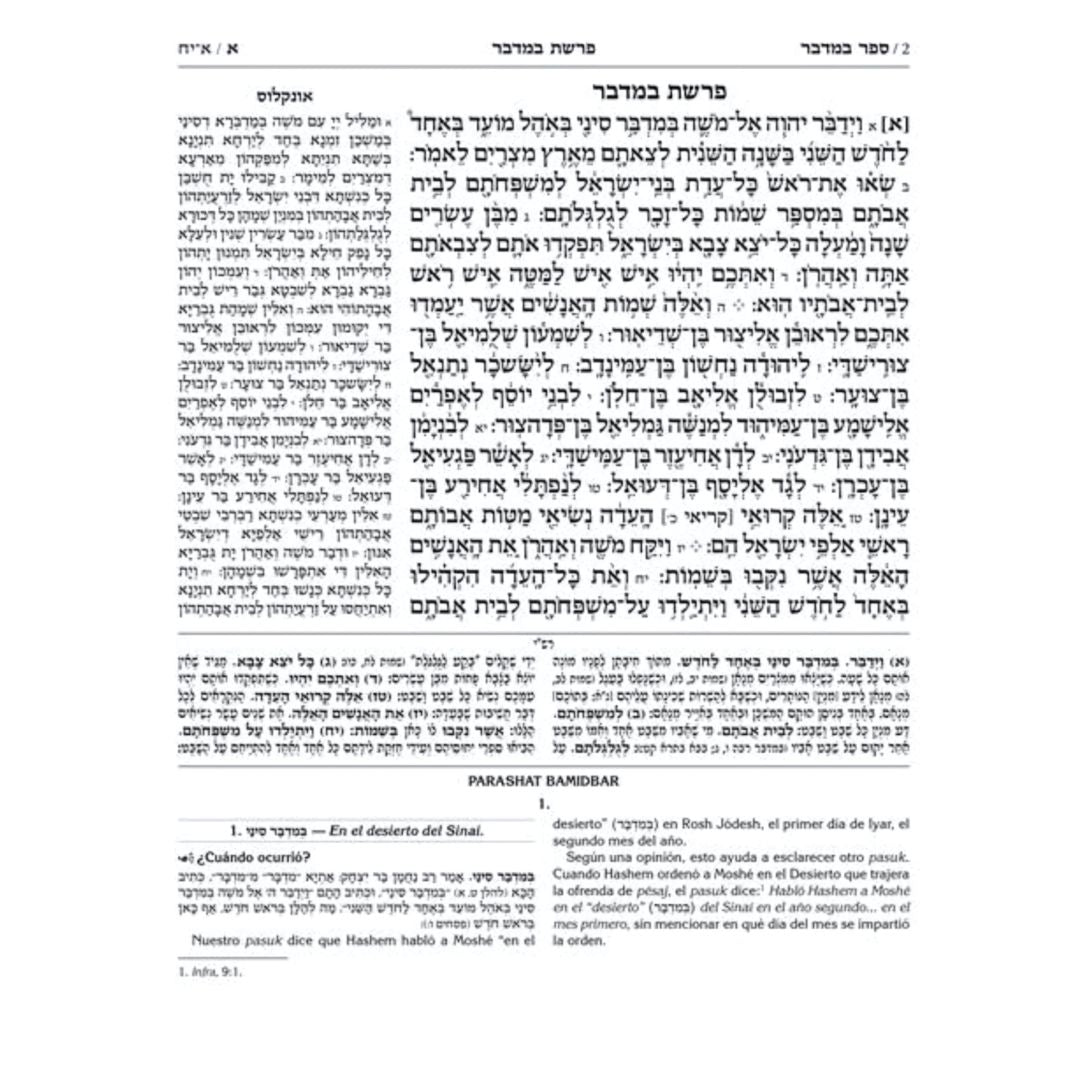 Jumash con explicaciones del Talmud