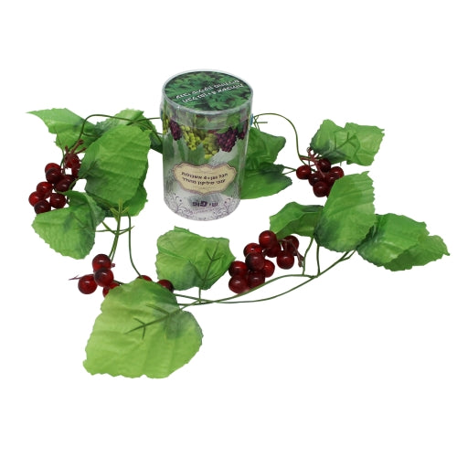 Uvas para decorar la Sukkah
