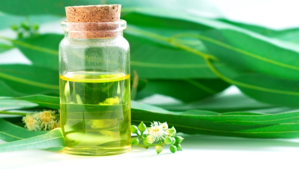 Aceite de Eucalipto