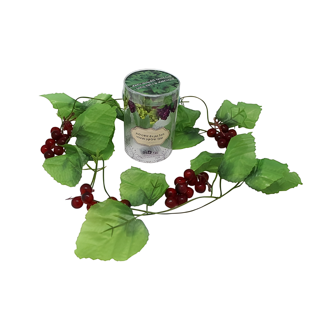 Uvas para Decorar la Sukkah