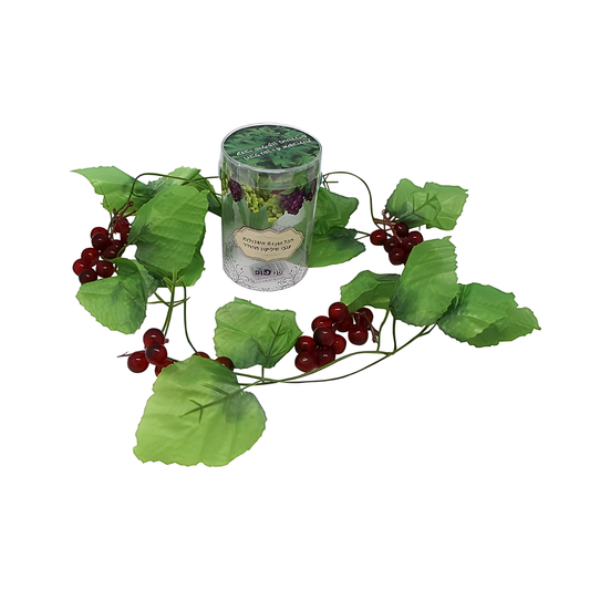 Uvas para Decorar la Sukkah