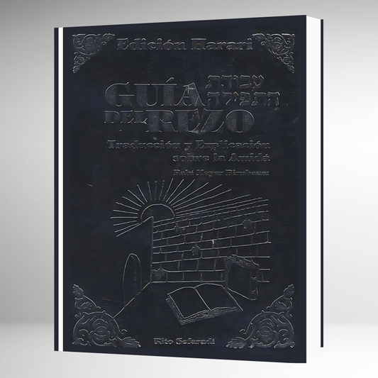 GUIA DEL REZO - AMIDA DE DIARIO