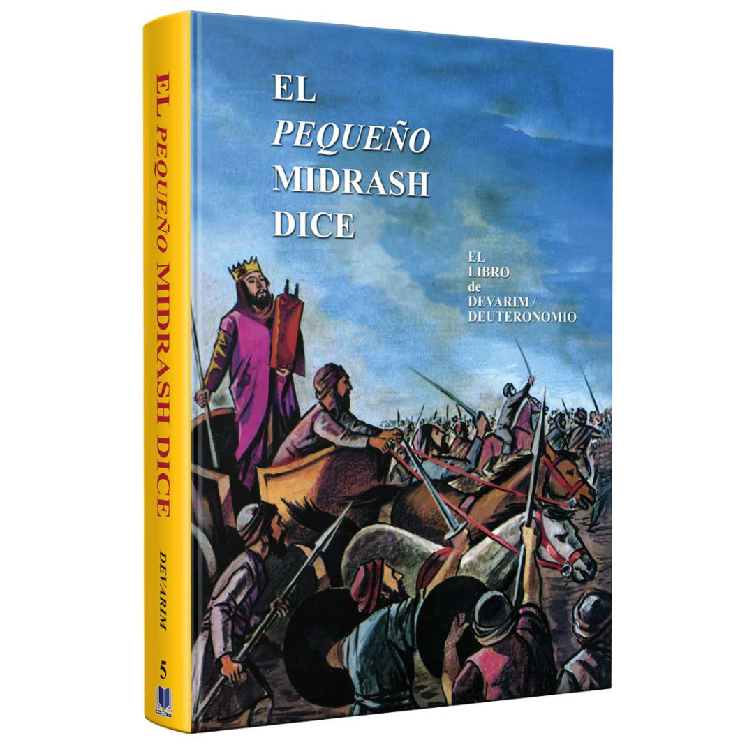 Coleccion - Pequeño midrash dice 13 tomos