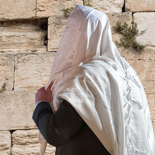 Tallit Mofet - Plateado