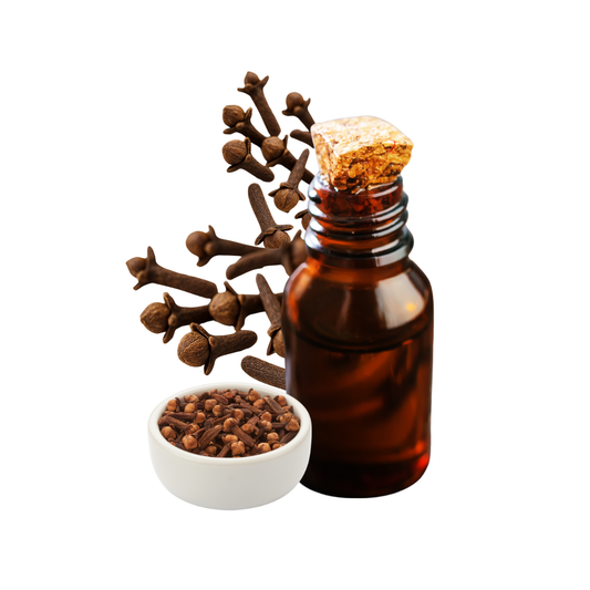 Aceites de Clavos