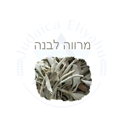 Marva - מרווה לבנה