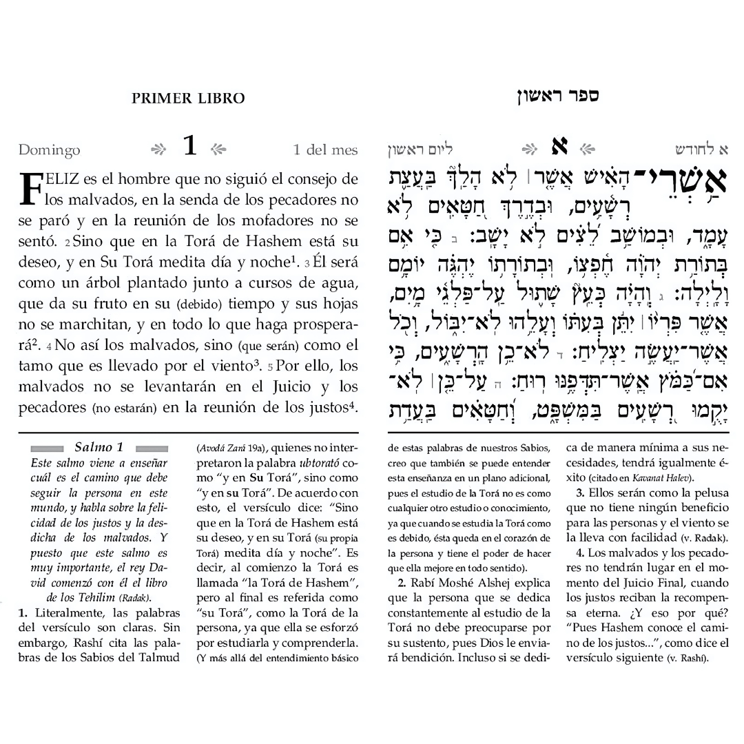 TEHILIM (SALMOS) ET RATZON HEB-ESP-COMENTARIOS (GRANDE)