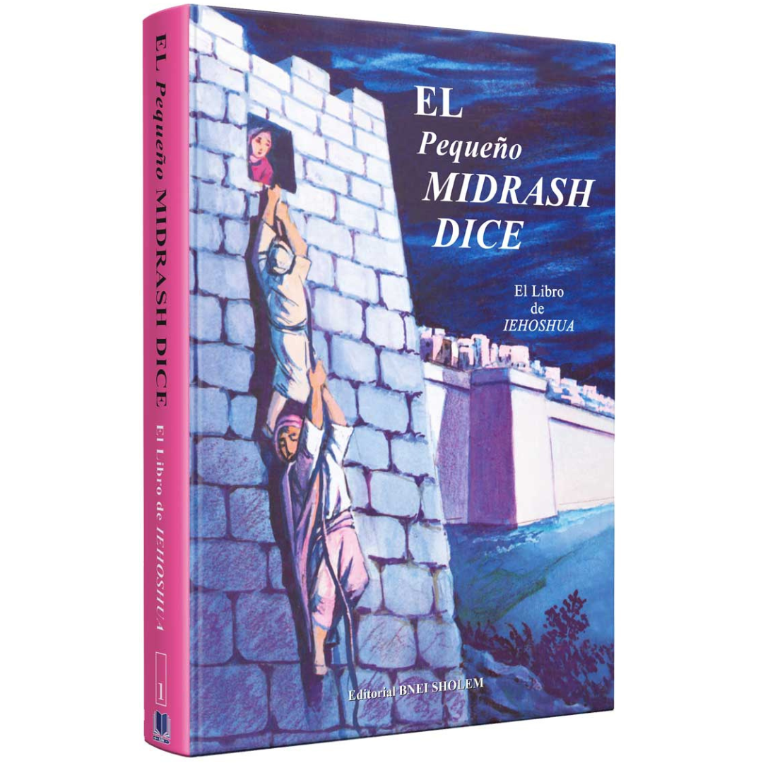 Coleccion - Pequeño midrash dice 13 tomos