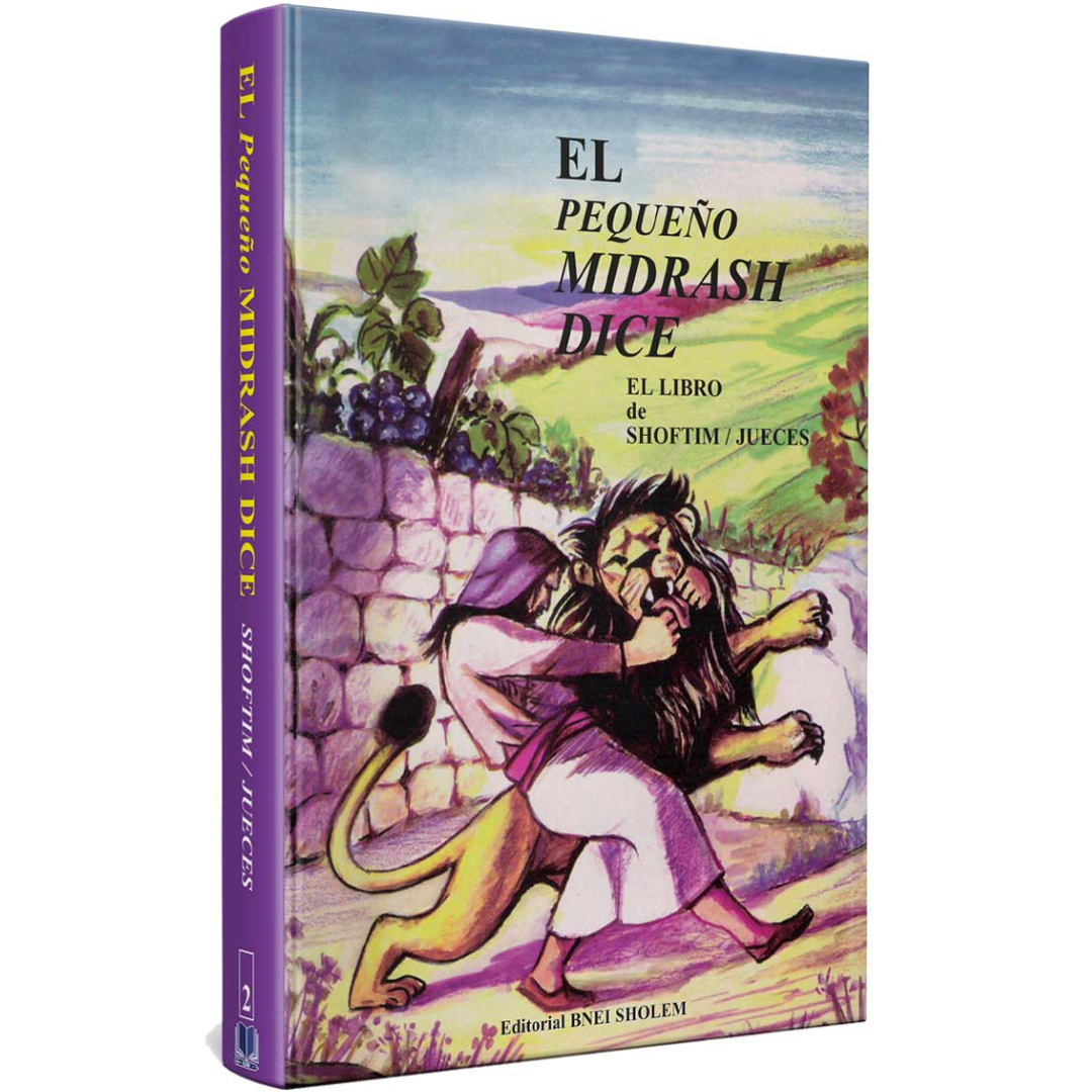 Coleccion - Pequeño midrash dice 13 tomos
