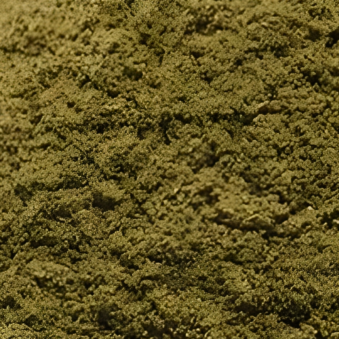 Orégano en Polvo