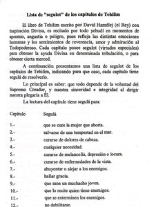 Libro de Tehilim Salmos interlinial Heb-Esp-Fone