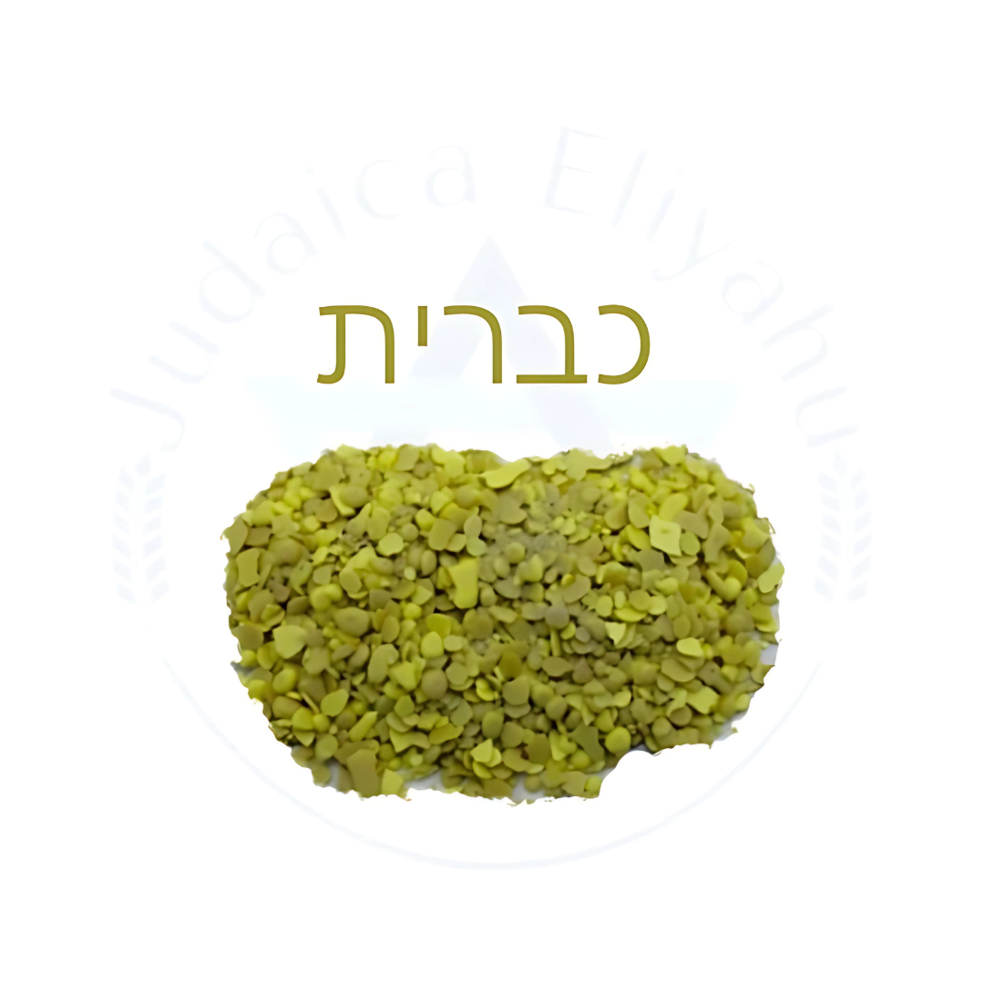 Especie כברית  - Kabrit