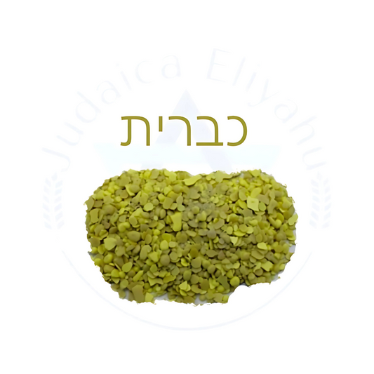 Especie כברית  - Kabrit