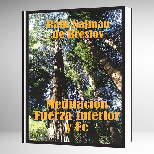 Meditación, Fuerza Interior y Fe