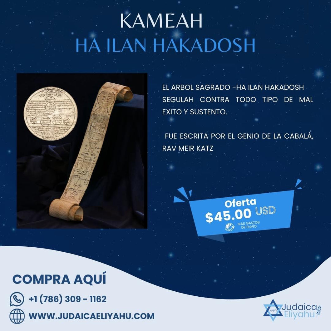 Kameah Ha Ilan Hakadosh