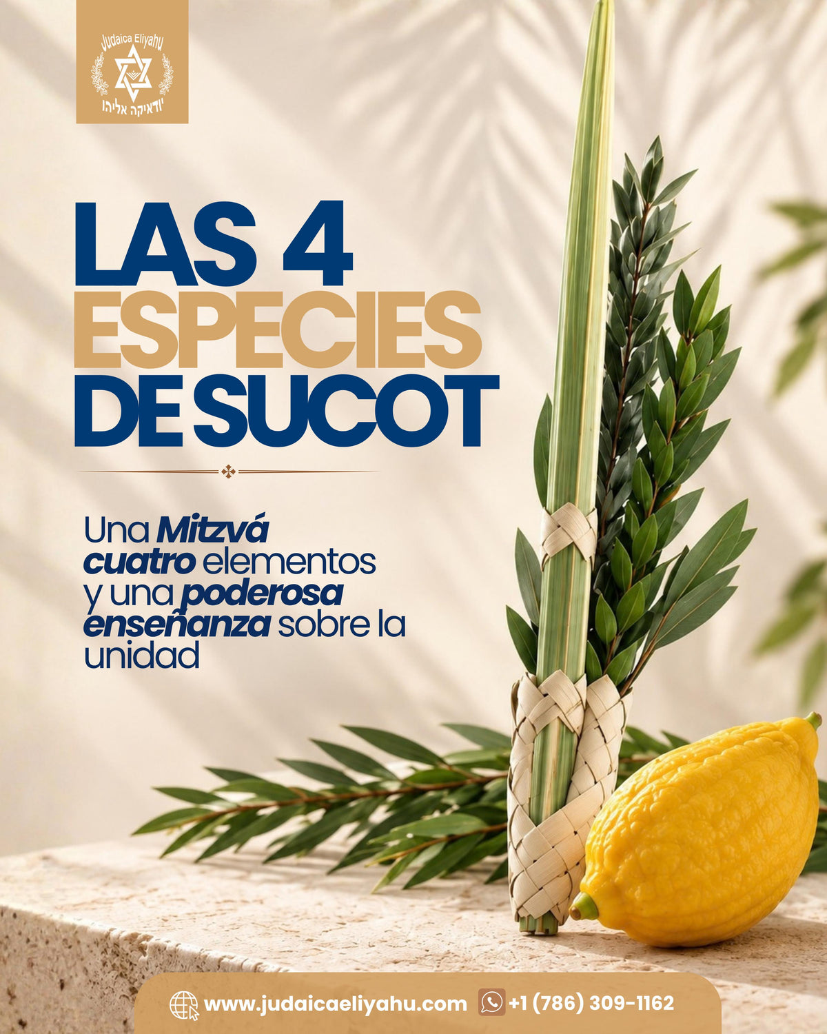 Etrog y Lulav Sukkot 5787