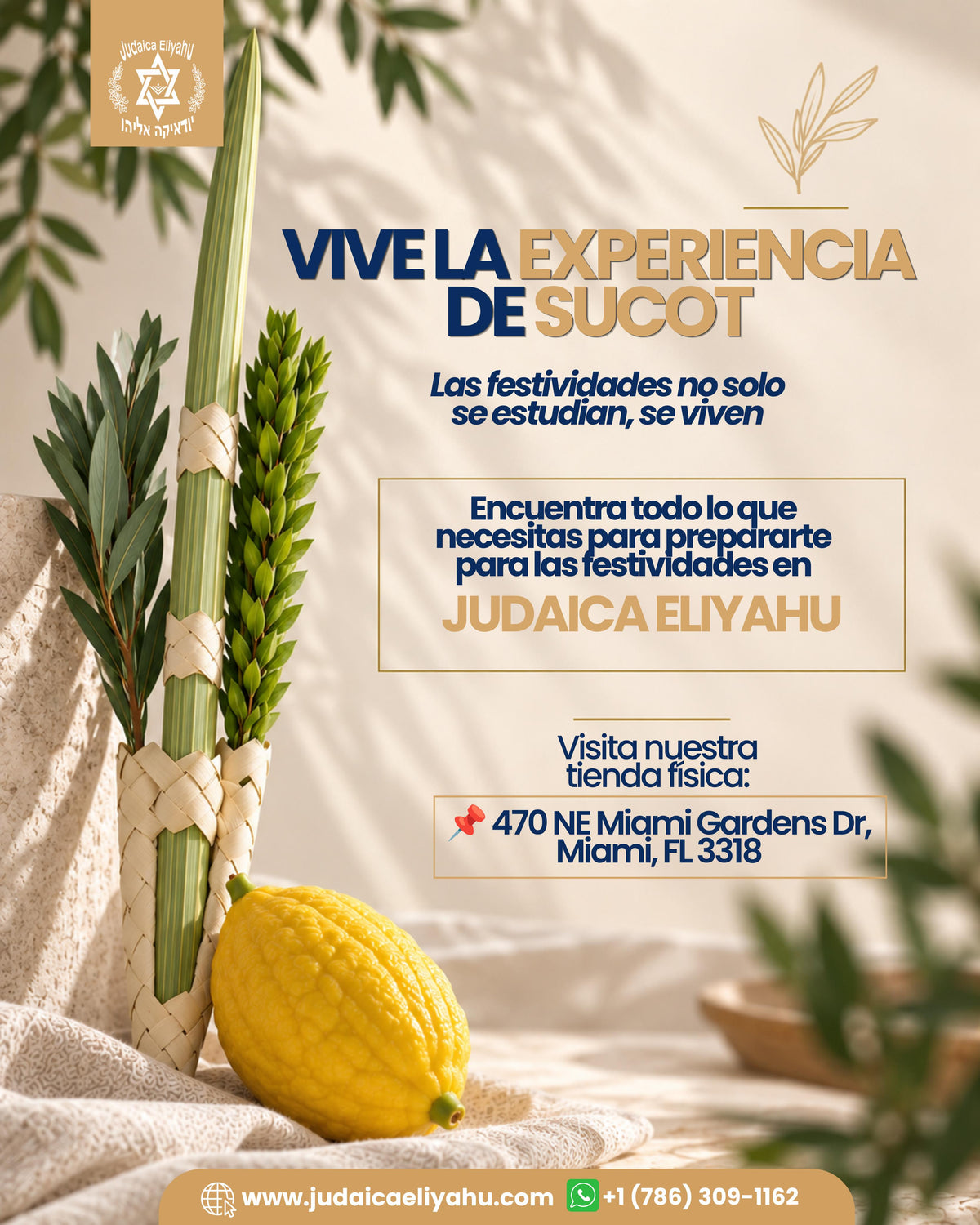 Etrog y Lulav Sukkot 5787