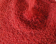 Cargar imagen en el visor de la galería, Especie  Maskut Roja מסקוטה אדומה
