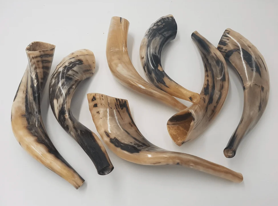 Shofar Ram - pequeño