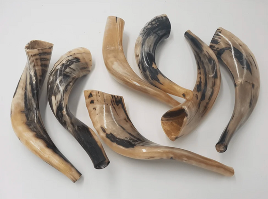 Shofar Ram - pequeño