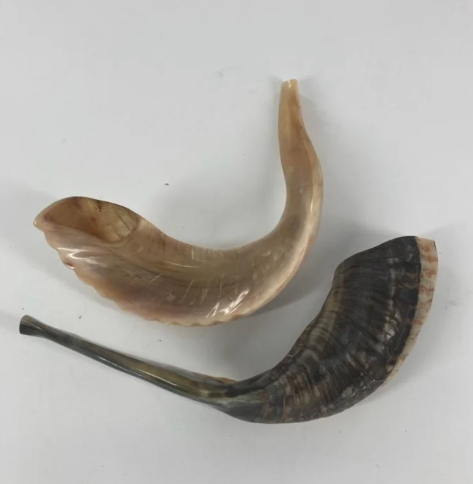 Shofar Ram - pequeño
