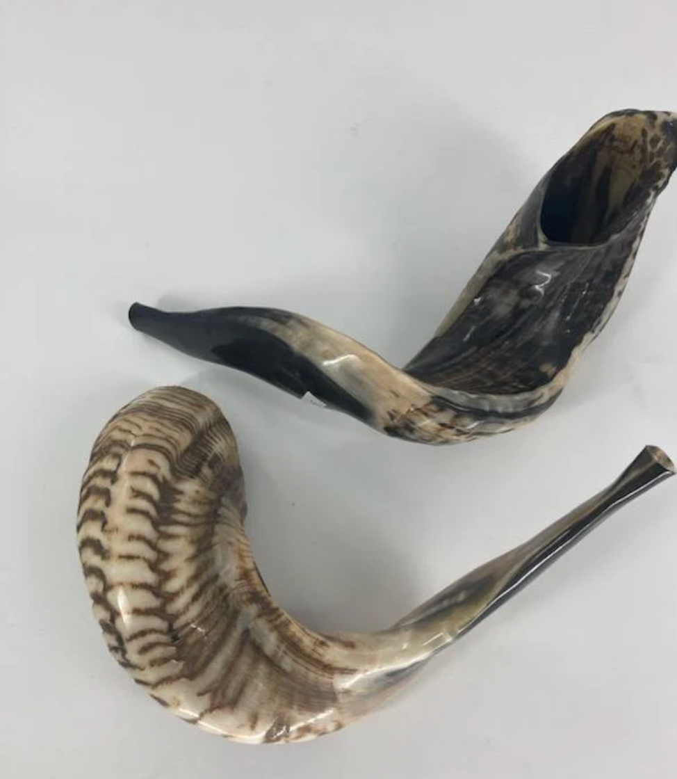 Shofar Ram - pequeño