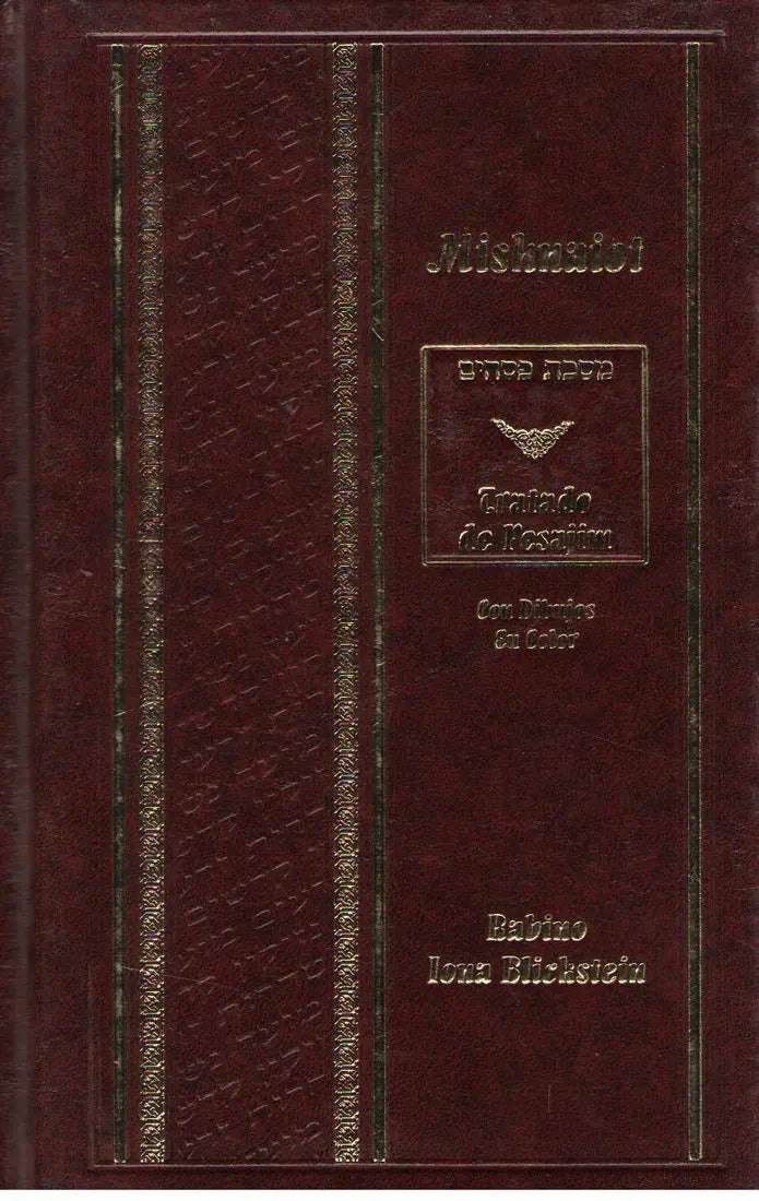 MISHNA-TRATADO DE PESAJIM