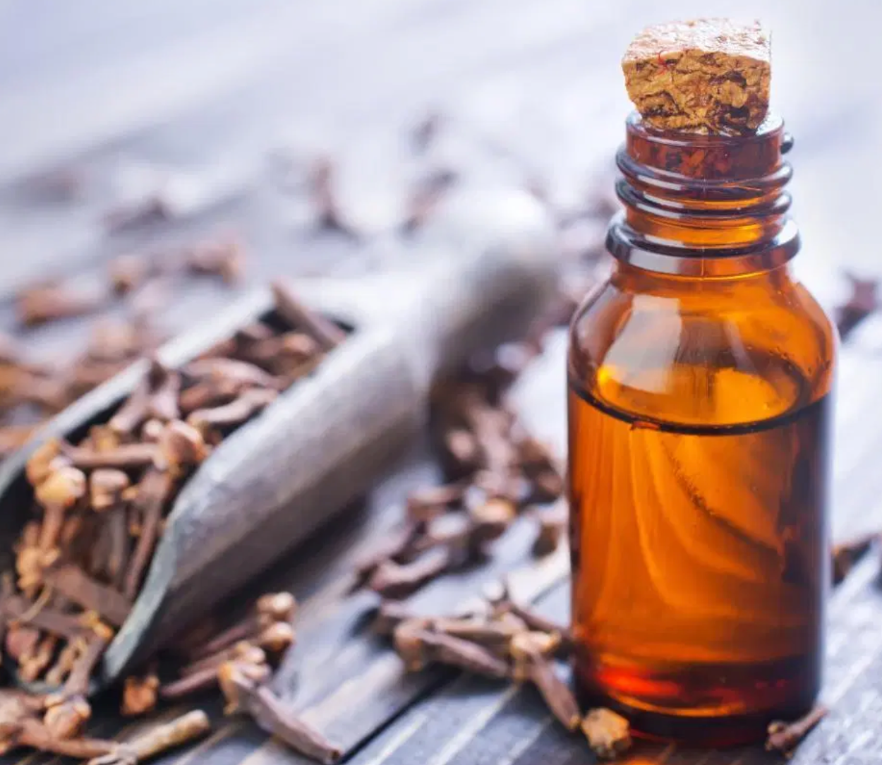 Aceites de Clavos
