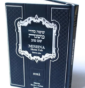 Mishna Shem Tov Meguila