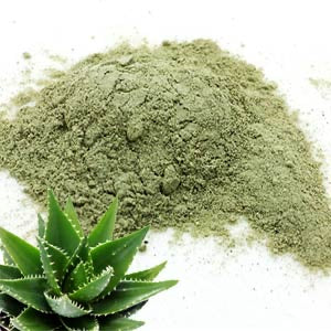 Polvo de Aloe