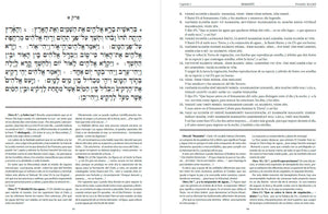 La Torá (Jumash). Edición Mor-Deror. Hebreo-español, transliterada y comentada (Set 5 Tomos Tapa Dura)